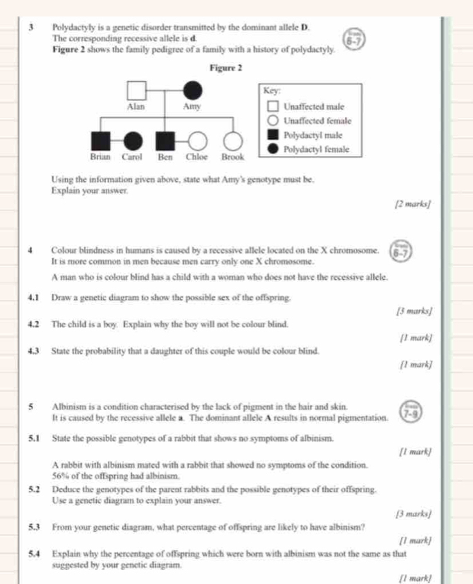 Polydactyly is a genetic disorder transmitted by the dominant allele D. 
The corresponding recessive allele is d.
67
Figure 2 shows the family pedigree of a family with a history of polydactyly. 
Using the information given above, state what Amy's genotype must be. 
Explain your answer. 
[2 marks] 
4 Colour blindness in humans is caused by a recessive allele located on the X chromosome. 6-7 
It is more common in men because men carry only one X chromosome. 
A man who is colour blind has a child with a woman who does not have the recessive allele. 
4,1 Draw a genetic diagram to show the possible sex of the offspring 
[3 marks] 
4.2 The child is a boy Explain why the boy will not be colour blind. 
[1 mark] 
4,3 State the probability that a daughter of this couple would be colour blind. 
[1 mark] 
5 Albinism is a condition characterised by the lack of pigment in the hair and skin. 79 
It is caused by the recessive allele a. The dominant allele A results in normal pigmentation. 
5.1 State the possible genotypes of a rabbit that shows no symptoms of albinism. 
[1 mark] 
A rabbit with albinism mated with a rabbit that showed no symptoms of the condition.
56% of the offspring had albinism. 
5.2 Deduce the genotypes of the parent rabbits and the possible genotypes of their offspring. 
Use a genetic diagram to explain your answer. 
[3 marks] 
5.3 From your genetic diagram, what percentage of offspring are likely to have albinism? 
[1 mark] 
5.4 Explain why the percentage of offspring which were born with albinism was not the same as that 
suggested by your genetic diagram. 
[l mark]