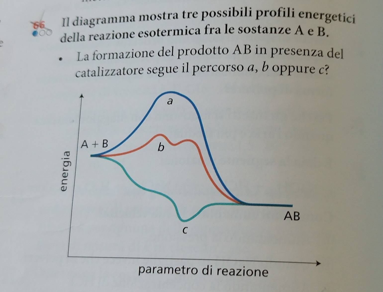 '6 Il diagramma mostra tre possibili profili energetici
3
della reazione esotermica fra le sostanze A e B.
La formazione del prodotto AB in presenza del
catalizzatore segue il percorso a, b oppure c?