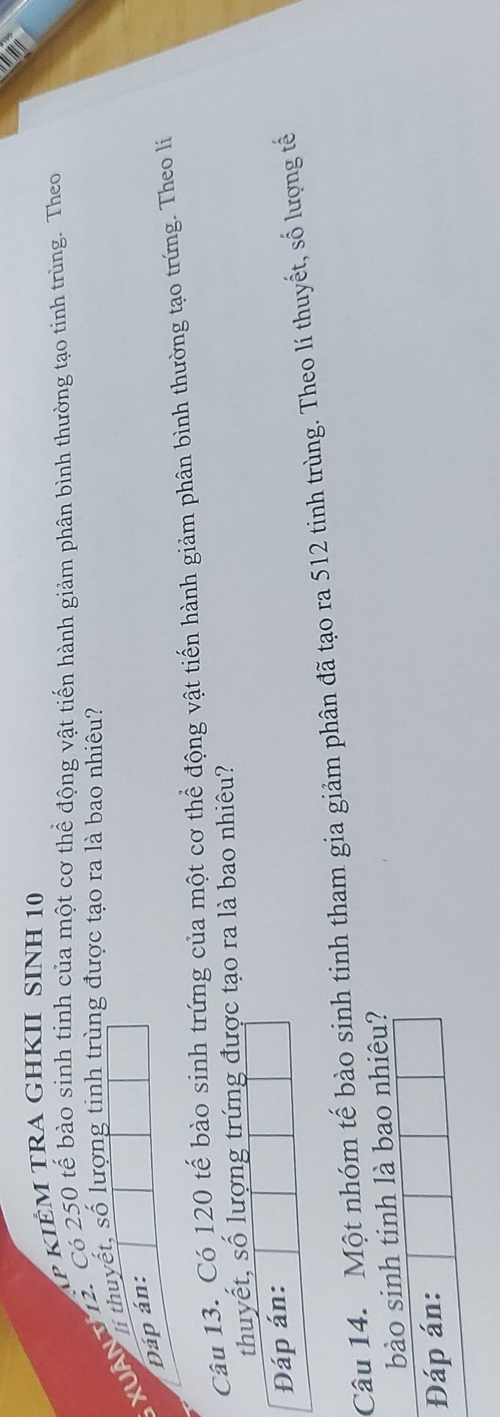 kiêm TRA GHKII SinH 10
XuậN g 2. Có 250 tế bào sinh tinh của một cơ thể động vật tiến hành giảm phân bình thường tạo tinh trùng. Theo 
Ii thuyết, số lượng tinh trùng được tạo ra là bao nhiêu? 
DĐáp án: 
Câu 13. Có 120 tế bào sinh trứng của một cơ thể động vật tiến hành giảm phân bình thường tạo trứng. Theo lí 
thuyết, số lượng trứng được tạo ra là bao nhiêu? 
Đáp án: 
Câu 14. Một nhóm tế bào sinh tinh tham gia giảm phân đã tạo ra 512 tinh trùng. Theo lí thuyết, số lượng tế 
bào sinh tinh là bao nhiêu? 
Đáp án: