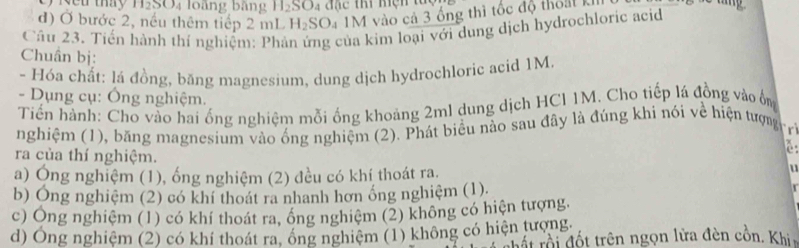 H2SO4 loàng bằng H₂SO4 đặc thi hện tử
đ) Ở bước 2, nếu thêm tiếp 2 mL H₂SO₄ 1M vào cả 3 ống thì tốc độ thoạt n
Cầu 23. Tiến hành thí nghiệm: Phản ứng của kim loại với dung dịch hydrochloric acid
Chuẩn bị:
- Hóa chất: lá đồng, băng magnesium, dung dịch hydrochloric acid 1M
- Dụng cụ: Ông nghiệm.
Tiến hành: Cho vào hai ống nghiệm mỗi ống khoảng 2ml dung dịch HCl 1M. Cho tiếp lá đồng vào ổm
nghiệm (1), băng magnesium vào ống nghiệm (2). Phát biểu nào sau đây là đúng khi nói về hiện tượn ri
b
ra của thí nghiệm.
a) Ông nghiệm (1), ống nghiệm (2) đều có khí thoát ra.
b) Ông nghiệm (2) có khí thoát ra nhanh hơn ống nghiệm (1)
c) Ông nghiệm (1) có khí thoát ra, ổng nghiệm (2) không có hiện tượng.
d) Ông nghiệm (2) có khí thoát ra, ông nghiệm (1) không có hiện tượng. r ất rội đốt trên ngọn lửa đèn cồn. Khi