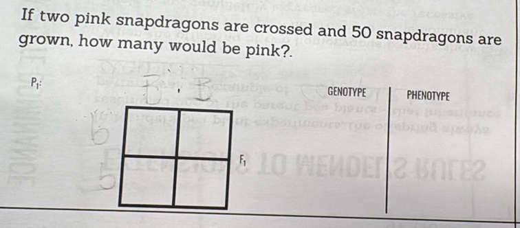 If two pink snapdragons are crossed and 50 snapdragons are 
grown, how many would be pink?.
P_1 : 
GENOTYPE PHENOTYPE
F_1