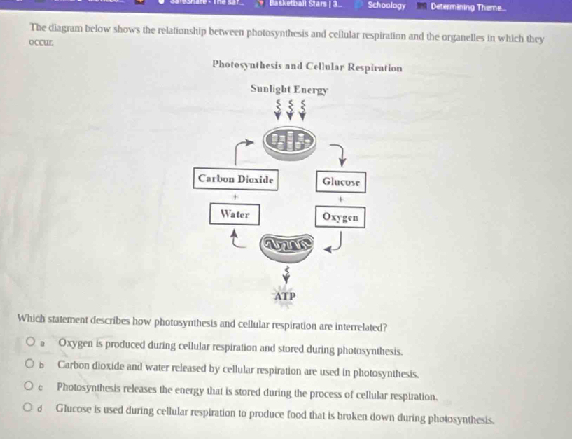 Bašketball Stars | 3 Schoology Determining Theme..
The diagram below shows the relationship between photosynthesis and cellular respiration and the organelles in which they
occur.
Photosynthesis and Cellular Respiration
Which statement describes how photosynthesis and cellular respiration are interrelated?
D Oxygen is produced during cellular respiration and stored during photosynthesis.
b Carbon dioxide and water released by cellular respiration are used in photosynthesis.
c Photosynthesis releases the energy that is stored during the process of cellular respiration.
δ Glucose is used during cellular respiration to produce food that is broken down during photosynthesis.