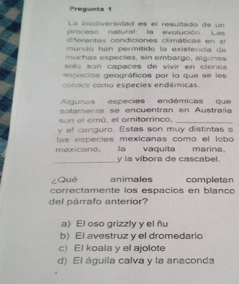 Pregunta 1
La biodiversidad es el resultado de un
proceso natural: la evolución. Las
diferentes condiciones climáticas en el
mundo han permítido la existencia de
muchas especies, sin embargo, algunas
solo son capaces de vivir en cieros 
espacios geográficos por lo que se les
conoce como especies endémicas.
Algunas especies endémicas que
solamente se encuentran en Australia
son el emú, el ornitorrinco,_
y el canguro. Estas son muy distintas a
las especies mexicanas como el lobo
mexicano, la£ vaquita marina,
_y la víbora de cascabel.
¿Qué animales completan
correctamente los espacios en blanco
del párrafo anterior?
a) El oso grizzly y el ñu
b) El avestruz y el dromedario
c) El koala y el ajolote
d) El águila calva y la anaconda