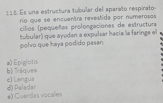 Es una estructura tubular del aparato respirato-
río que se encuentra revestida por numerosos
cilios (pequeñas prolongaciones de estructura
tubular) que ayudan a expulsar hacia la faringe el
polvo que haya podido pasar:
a) Epiglotis
b) Tráquea
c) Lengua
d) Paladar
e) Cuerdas vocales