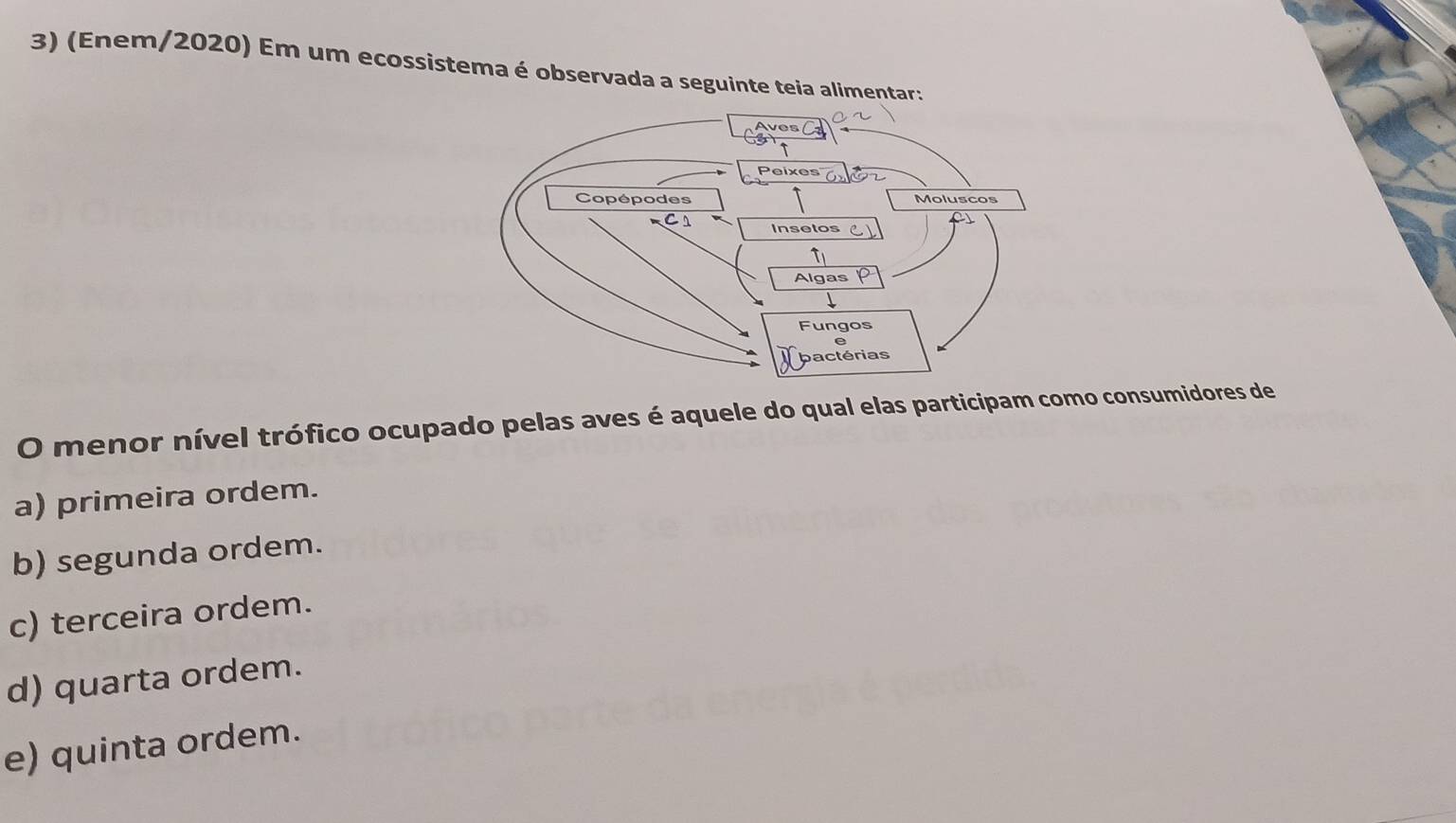 (Enem/2020) Em um ecossistema é observada a seguinte teia alimentar:
O menor nível trófico ocupado pelas aves é aquele do qual elas participam como consumidores de
a) primeira ordem.
b) segunda ordem.
c) terceira ordem.
d) quarta ordem.
e) quinta ordem.