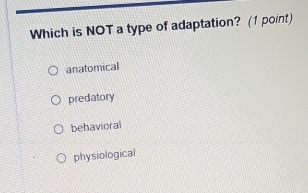 Which is NOT a type of adaptation? (1 point)
anatomical
predatory
behavioral
physiological