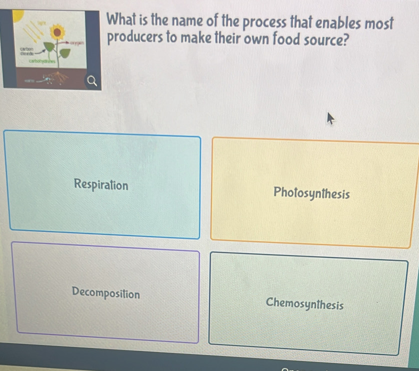 hat is the name of the process that enables most
roducers to make their own food source?
Respiration Photosynthesis
Decomposition Chemosynthesis