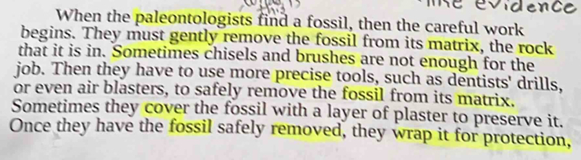 When the paleontologists find a fossil, then the careful work 
begins. They must gently remove the fossil from its matrix, the rock 
that it is in. Sometimes chisels and brushes are not enough for the 
job. Then they have to use more precise tools, such as dentists' drills, 
or even air blasters, to safely remove the fossil from its matrix. 
Sometimes they cover the fossil with a layer of plaster to preserve it. 
Once they have the fossil safely removed, they wrap it for protection,