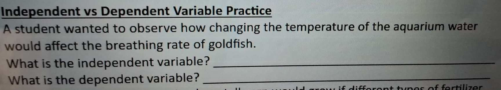 Independent vs Dependent Variable Practice 
A student wanted to observe how changing the temperature of the aquarium water 
would affect the breathing rate of goldfish. 
What is the independent variable?_ 
What is the dependent variable?_ 
diff erent tyn es of fer tilizer