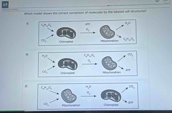 Solved: Which model shows the correct conversion of molecules by the ...