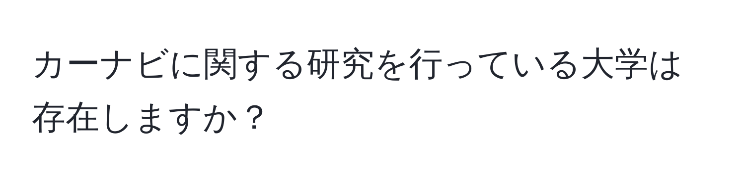 カーナビに関する研究を行っている大学は存在しますか？