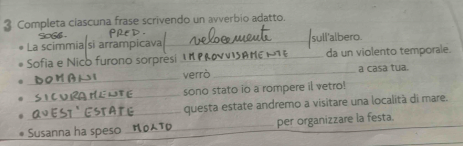 Completa ciascuna frase scrivendo un avverbio adatto. 
So66 . 
_sull'albero. 
La scimmia si arrampicava 
Sofia e Nico furono sorpresi _da un violento temporale. 
_ 
verrò _a casa tua. 
sono stato io a rompere il vetro! 
_ 
_questa estate andremo a visitare una località di mare. 
Susanna ha speso _per organizzare la festa.