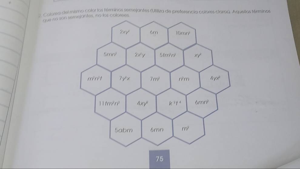 Colorea del mismo color los términos semejantes (Utiliza de preferencia colores claros). Aquellos términos
que no so