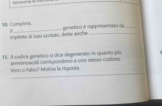 Attraversa là mem 
10. Completa. 
| _genetico è rappresentato da_ 
triplette di basi azotate, dette anche_ 
11. Il codice genetico si dice degenerato in quanto più 
1 
amminoacidi corrispondono a uno stesso codone. 
_ 
Vero o Falso? Motiva la risposta.