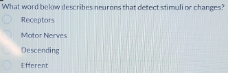 What word below describes neurons that detect stimuli or changes?
Receptors
Motor Nerves
Descending
Efferent