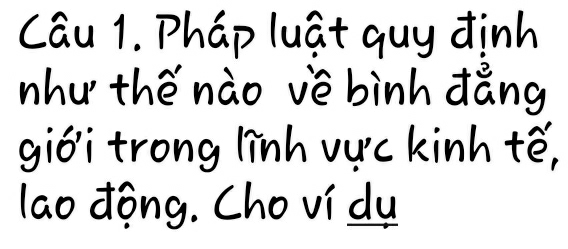 Cau 1. Phap luat guy dinh 
nhu thé nào vè binh dǎng 
giōitrong linh vuc kinh tē, 
lao dóng. Chovi du