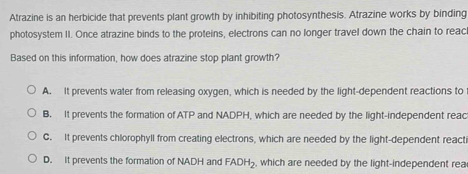 Atrazine is an herbicide that prevents plant growth by inhibiting photosynthesis. Atrazine works by binding
photosystem II. Once atrazine binds to the proteins, electrons can no longer travel down the chain to reac
Based on this information, how does atrazine stop plant growth?
A. It prevents water from releasing oxygen, which is needed by the light-dependent reactions to
B. It prevents the formation of ATP and NADPH, which are needed by the light-independent reac
C. It prevents chlorophyll from creating electrons, which are needed by the light-dependent reacti
D. It prevents the formation of NADH and FADH_2 , which are needed by the light-independent rea