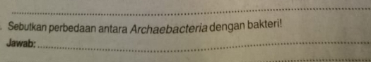 Sebutkan perbedaan antara Archaebacteria dengan bakteri! 
Jawab: