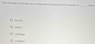 The chordae tendineae are composed of numerous thin strands of _fibers
keratin
elastin
cartilage
collagen
