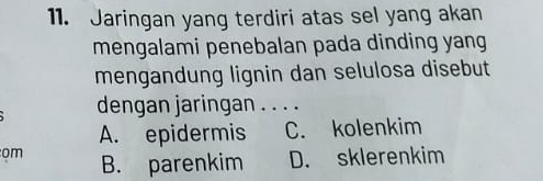 Jaringan yang terdiri atas sel yang akan
mengalami penebalan pada dinding yang
mengandung lignin dan selulosa disebut
dengan jaringan . . . .
A. epidermis C. kolenkim
om B. parenkim D. sklerenkim