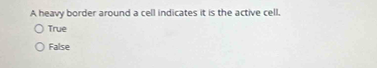 A heavy border around a cell indicates it is the active cell.
True
False