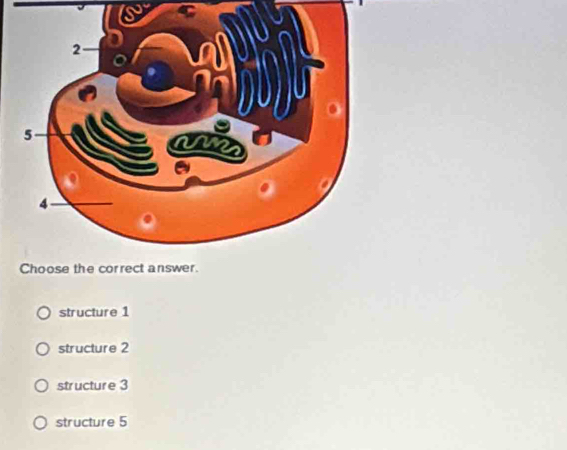 structure 1
structure 2
structure 3
structure 5