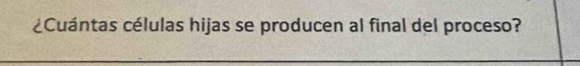 ¿Cuántas células hijas se producen al final del proceso?