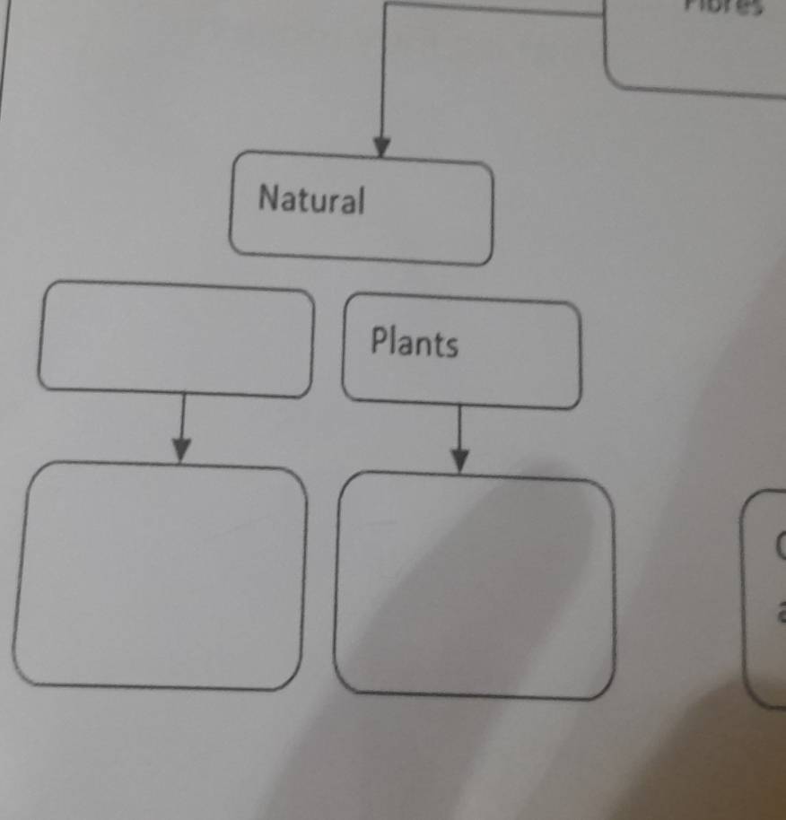 Natural 
Plants