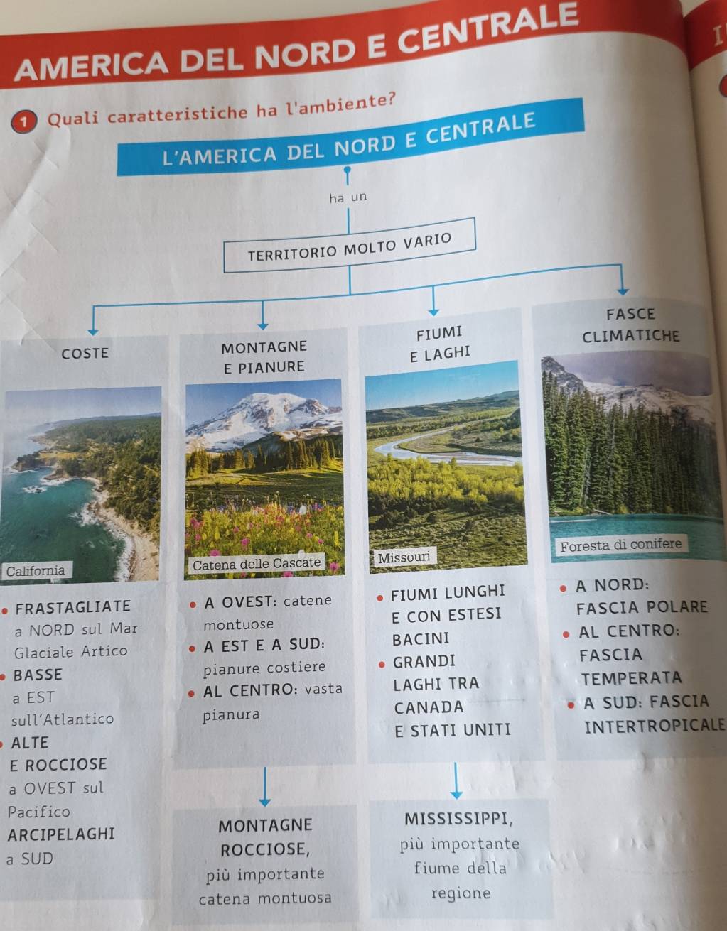 AMERICA DEL NORD E CENTRALE 
① Quali caratteristiche ha l'ambiente? 
TRALE 
C 
FRASTAGLIATE A OVEST: catene FIUMI 
a NORD sul Mar montuose E CON ESTESI 
FASCIA POLARE 
Glaciale Artico A EST E A SUD: BACINI AL CENTRO: 
BASSE pianure costiere GRANDI 
FASCIA 
a EST AL CENTRO: vasta LAGHI TRA 
TEMPERATA 
sull’Atlantico pianura CANADA A SUD: FASCIA 
ALTE E STATI UNITI INTERTROPICALE 
E ROCCIOSE 
a OVEST sul 
Pacifico 
ARCIPELAGHI 
MONTAGNE MISSISSIPPI, 
ROCCIOSE, più importante 
a SUD 
più importante 
fiume della 
catena montuosa regione