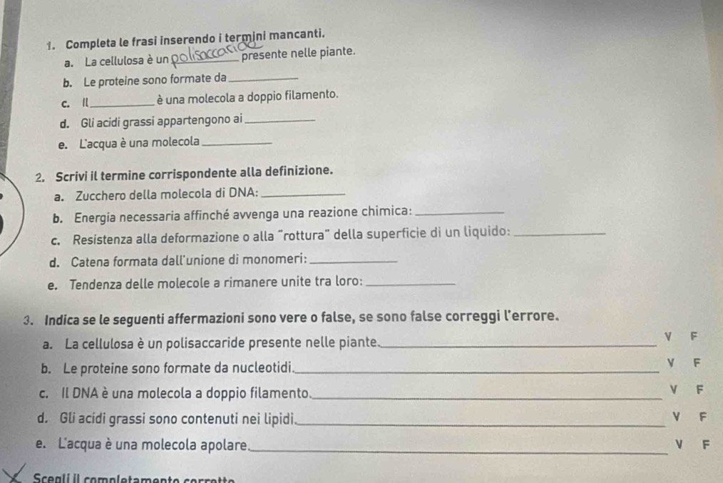 Completa le frasi inserendo i termini mancanti.
a. La cellulosa è un_ presente nelle piante.
b. Le proteine sono formate da_
c. I_ é una molecola a doppio filamento.
d. Gli acidi grassi appartengono ai_
e. L'acqua è una molecola_
2. Scrivi il termine corrispondente alla definizione.
a. Zucchero della molecola di DNA:_
b. Energia necessaria affinché avvenga una reazione chimica:_
c. Resistenza alla deformazione o alla “rottura" della superficie di un liquido:_
d. Catena formata dall'unione di monomeri:_
e. Tendenza delle molecole a rimanere unite tra loro:_
3. Indica se le seguenti affermazioni sono vere o false, se sono false correggi l’errore.
a. La cellulosa è un polisaccaride presente nelle piante _V F
b. Le proteine sono formate da nucleotidi _Y F
c. Il DNA è una molecola a doppio filamento._ V F
d. Gli acidi grassi sono contenuti nei lipidi _V F
e. L'acqua è una molecola apolare_ V F
Scegli i completamer