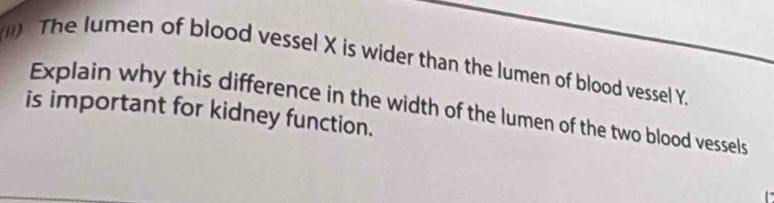 The lumen of blood vessel X is wider than the lumen of blood vessel Y. 
is important for kidney function. Explain why this difference in the width of the lumen of the two blood vessels