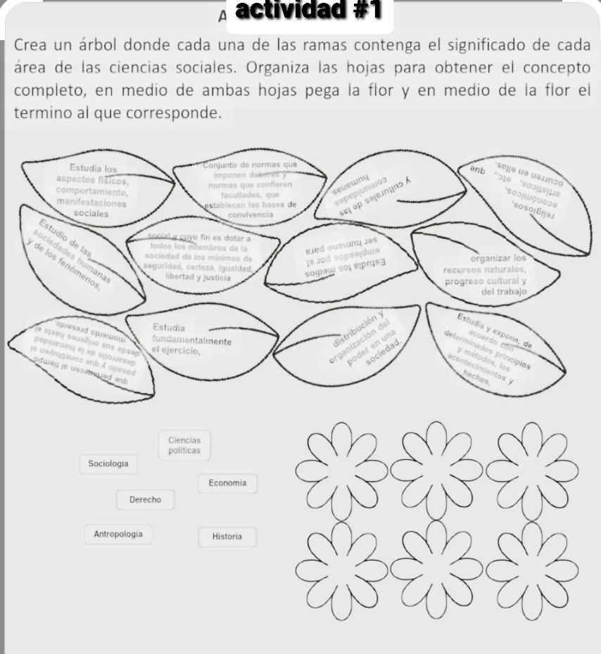 actividad #1 
Crea un árbol donde cada una de las ramas contenga el significado de cada 
área de las ciencias sociales. Organiza las hojas para obtener el concepto 
completo, en medio de ambas hojas pega la flor y en medio de la flor el 
termino al que corresponde. 
Ciencias 
politicas 
Sociologia 
Economia 
Derecho 
Antropología Historia