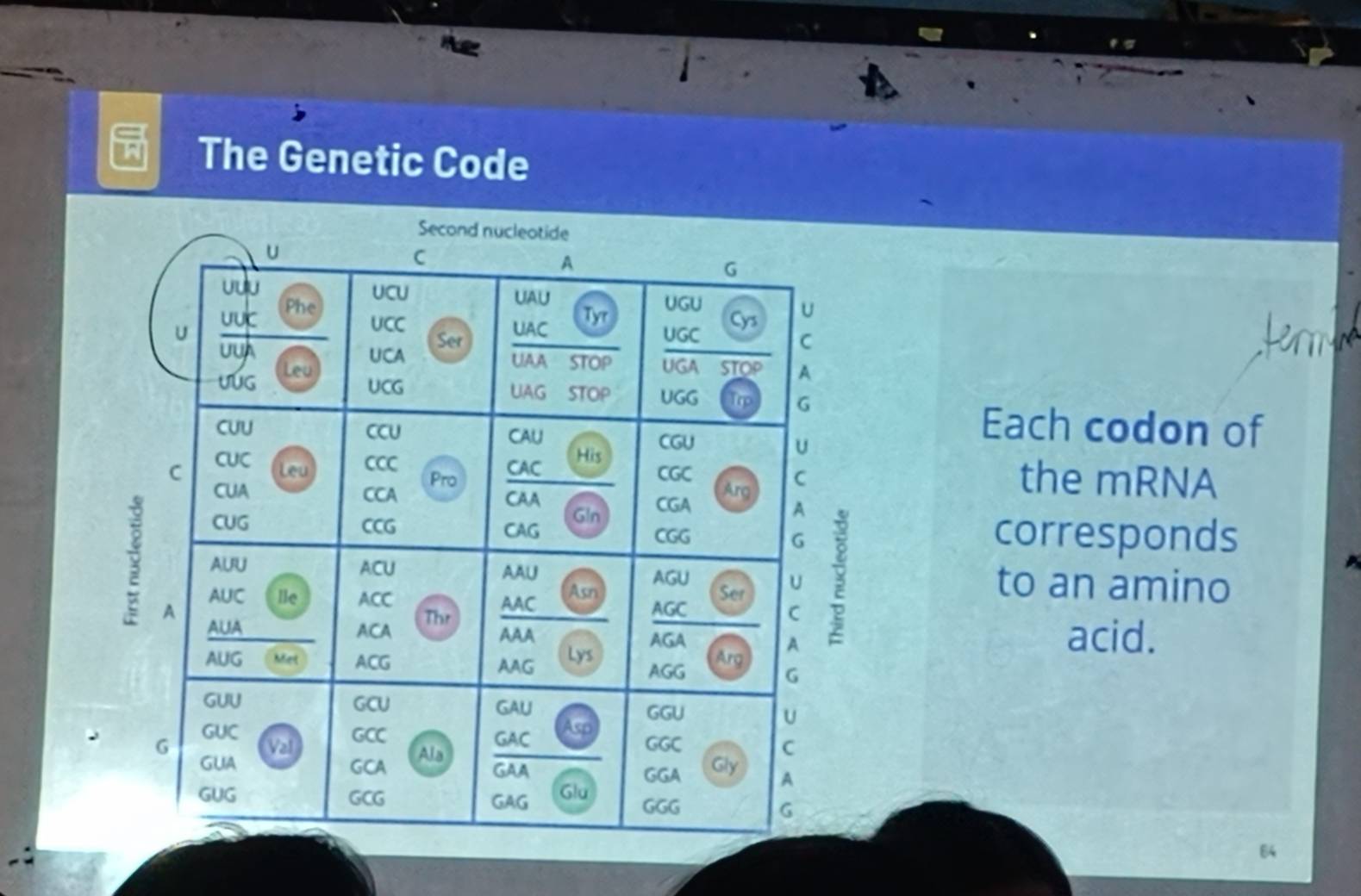 The Genetic Code 
Lermn 
Each codon of 
the mRNA 
corresponds 
to an amino 
acid.
64