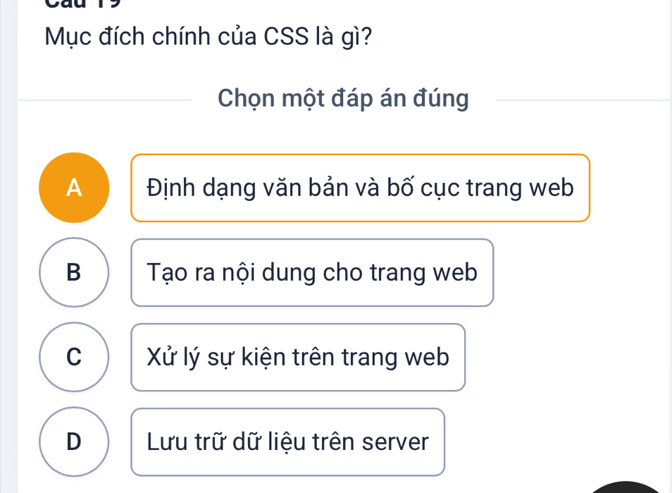 Mục đích chính của CSS là gì?
Chọn một đáp án đúng
A Định dạng văn bản và bố cục trang web
B Tạo ra nội dung cho trang web
C Xử lý sự kiện trên trang web
D Lưu trữ dữ liệu trên server