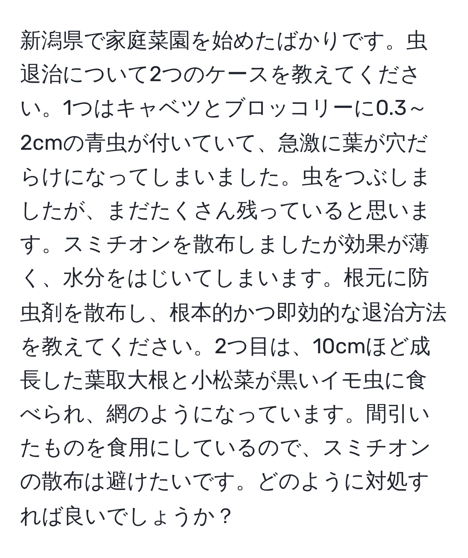 新潟県で家庭菜園を始めたばかりです。虫退治について2つのケースを教えてください。1つはキャベツとブロッコリーに0.3～2cmの青虫が付いていて、急激に葉が穴だらけになってしまいました。虫をつぶしましたが、まだたくさん残っていると思います。スミチオンを散布しましたが効果が薄く、水分をはじいてしまいます。根元に防虫剤を散布し、根本的かつ即効的な退治方法を教えてください。2つ目は、10cmほど成長した葉取大根と小松菜が黒いイモ虫に食べられ、網のようになっています。間引いたものを食用にしているので、スミチオンの散布は避けたいです。どのように対処すれば良いでしょうか？