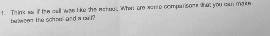 Think as if the cell was like the school. What are some comparisons that you can make 
between the school and a cell?