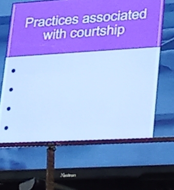 Practices associated 
with courtship