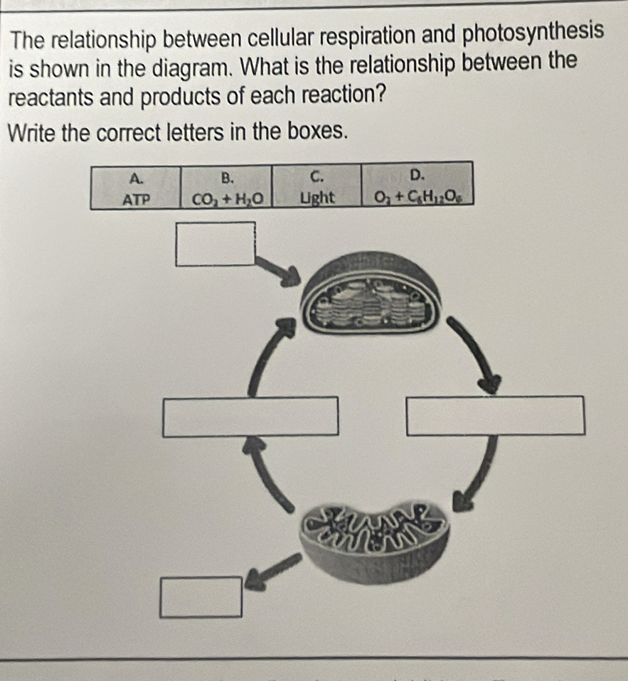 The relationship between cellular respiration and photosynthesis
is shown in the diagram. What is the relationship between the
reactants and products of each reaction?
Write the correct letters in the boxes.
A. B. C. D.
ATP CO_2+H_2O Light O_2+C_6H_12O_6