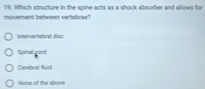 Which structure in the spine acts as a shock absorber and allows for
moverment between vertebrae?
Intervertebral disc
Spinal pord
Cerebral fluid
None of the above