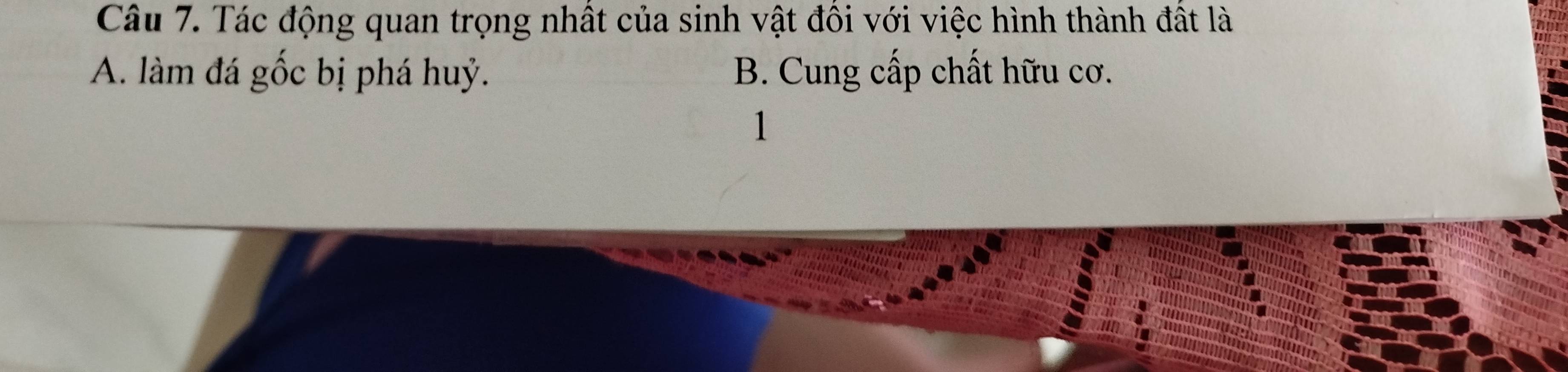 Tác động quan trọng nhất của sinh vật đồi với việc hình thành đất là
A. làm đá gốc bị phá huỷ. B. Cung cấp chất hữu cơ.
1