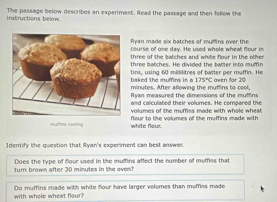 The passage below describes an experiment. Read the passage and then follow the 
instructions below. 
Ryan made six batches of muffins over the 
course of one day. He used whole wheat flour in 
three of the batches and white flour in the other 
three batches. He divided the batter into muffin 
tins, using 60 millilitres of batter per muffin. He 
baked the muffins in a 175°C oven for 20
minutes. After allowing the muffins to cool, 
Ryan measured the dimensions of the muffins 
and calculated their volumes. He compared the 
volumes of the muffins made with whole wheat 
flour to the volumes of the muffins made with 
mumins cooling white flour. 
Identify the question that Ryan's experiment can best answer. 
Does the type of flour used in the muffins affect the number of muffins that 
turn brown after 30 minutes in the oven? 
Do muffins made with white flour have larger volumes than muffins made 
with whole wheat flour?