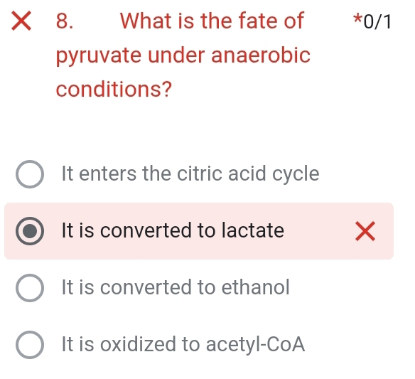 What is the fate of *0/1
pyruvate under anaerobic
conditions?
It enters the citric acid cycle
It is converted to lactate
It is converted to ethanol
It is oxidized to acetyl-CoA