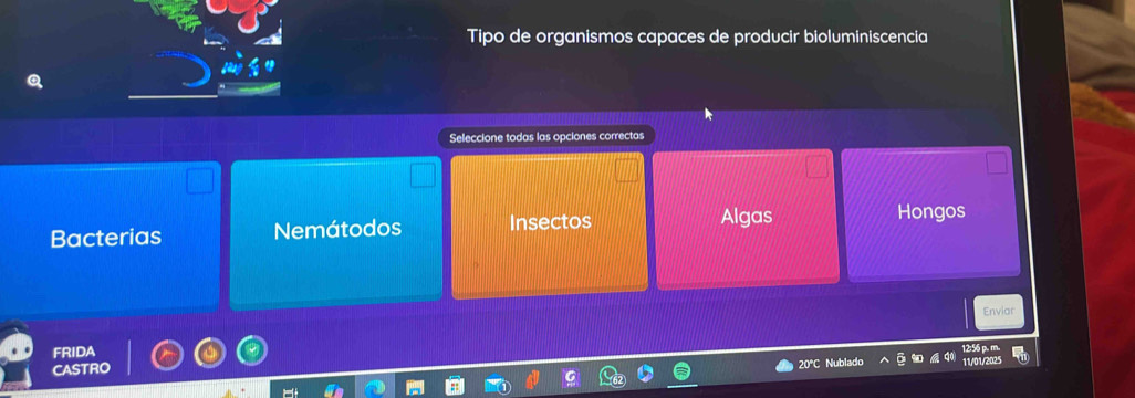 Tipo de organismos capaces de producir bioluminiscencia
Q
Seleccione todas las opciones correctas
Bacterias Nemátodos Insectos
Algas Hongos
Enviar
FRIDA
CASTRO
11/01/20
20°C Nublad