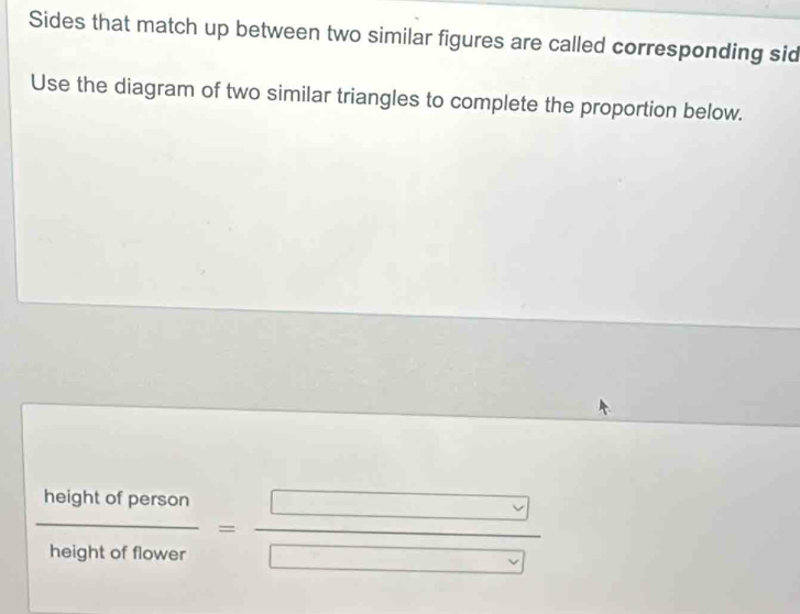 Sides that match up between two similar figures are called corresponding sid 
Use the diagram of two similar triangles to complete the proportion below.
 heightofperson/heightoffower = □ /□  