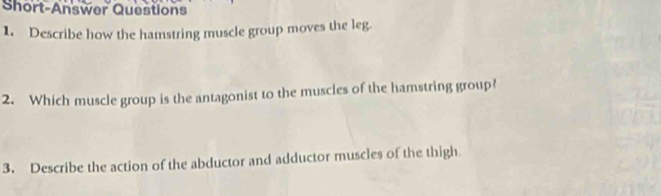 Short-Answer Questions 
1. Describe how the hamstring muscle group moves the leg. 
2. Which muscle group is the antagonist to the muscles of the hamstring group? 
3. Describe the action of the abductor and adductor muscles of the thigh.