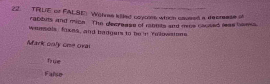 TRUE or FALSE: Wolves killed coyotes which caused a decresse of
rabbits and mice. The decrease of rabbits and mice caused less bawks
weasels foxes, and badgers to be in Yellowstone
Mark only one oval
True
False