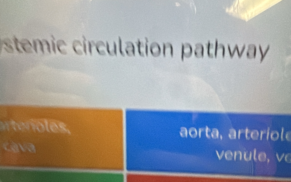 stemic circulation pathway
aorta, arteriole
ven u e , v