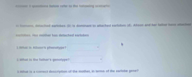 enowsr 3 questions below refer to the following scenario: 
is humans, detached earlobes (D) is dominant to attached earlobes (d). Alison and her faller have attached 
eariobes. Her mother has detached earlobes 
1 What is Allson's phenotype? 
2.What is the father's genotype? 
3 What is a correct description of the mother, in terms of the earlobe gene?