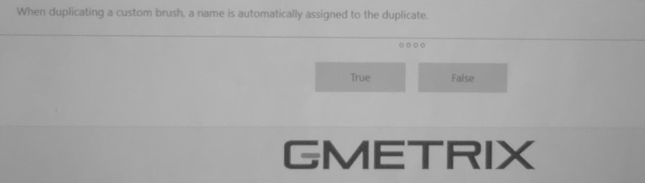 When duplicating a custom brush, a name is automatically assigned to the duplicate.
True False
GMETRIX