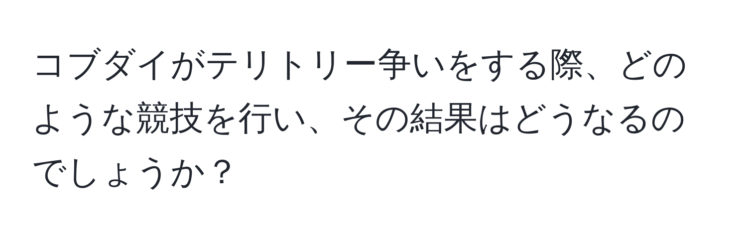 コブダイがテリトリー争いをする際、どのような競技を行い、その結果はどうなるのでしょうか？